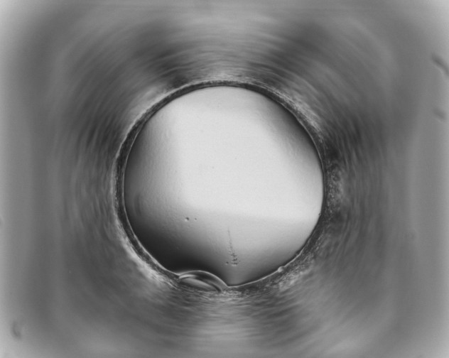 X0000093500991200710261134