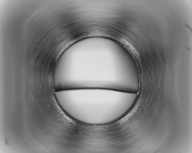 X0000093500993200710261134