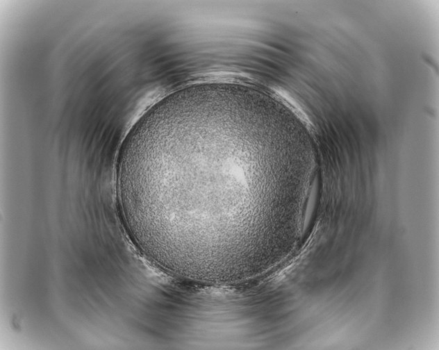 X0000093500994200710261134