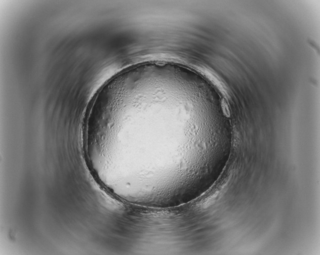 X0000093500999200710261134