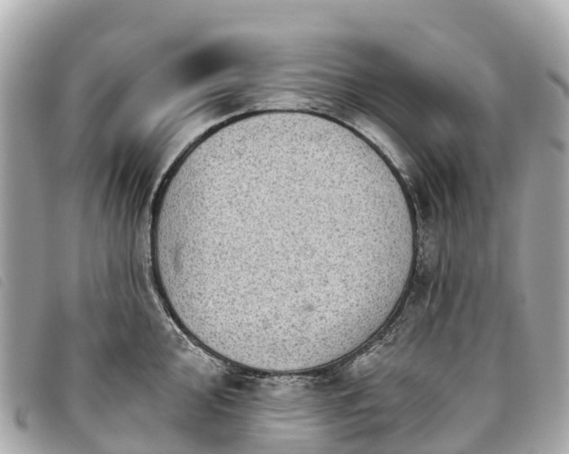 X0000093501000200710261134