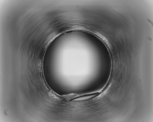 X0000093501001200710261134