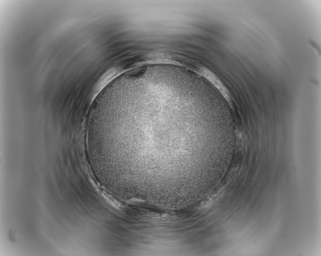 X0000093501002200710261134