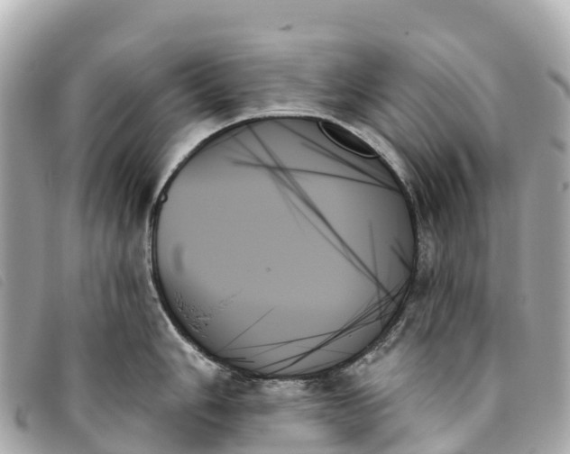 X0000093501006200710261134