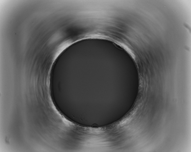 X0000093501007200710261134