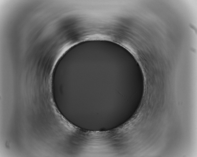X0000093501008200710261134