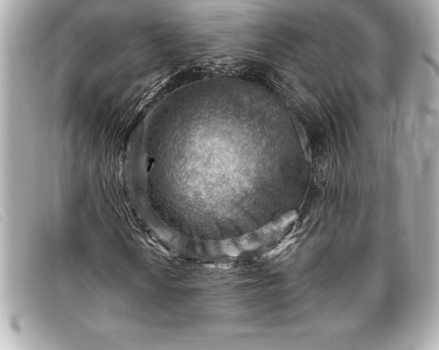 X0000093501010200710261133
