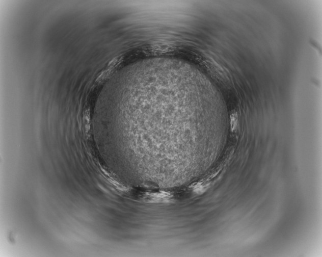 X0000093501011200710261133