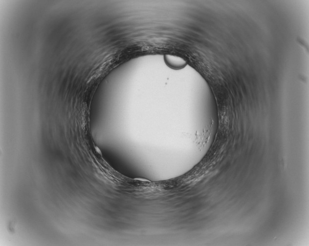X0000093501012200710261133