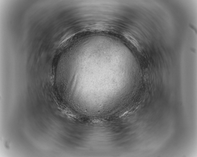X0000093501015200710261133