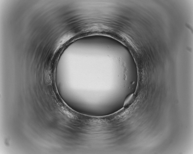 X0000093501018200710261134