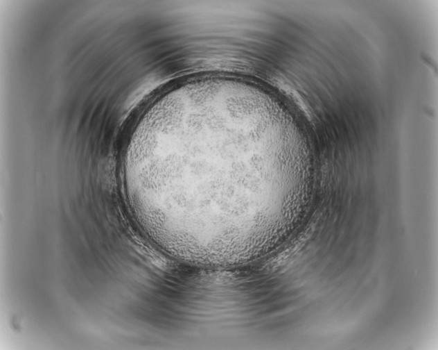 X0000093501019200710261134