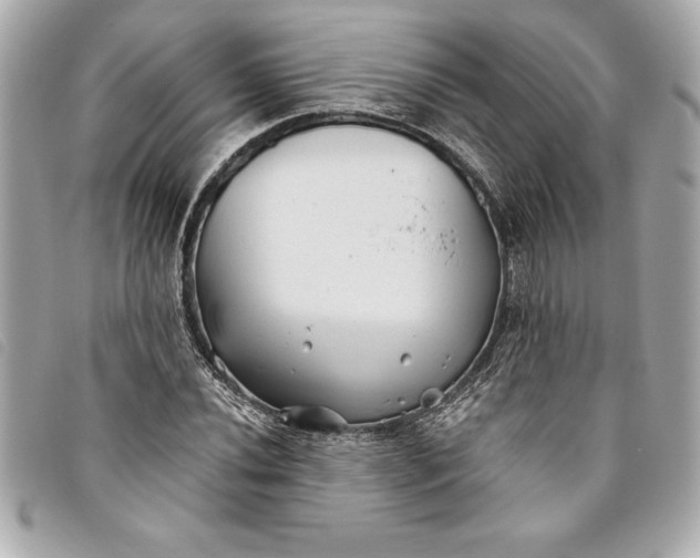 X0000093501020200710261134