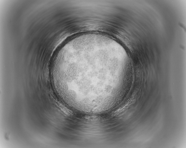 X0000093501023200710261134