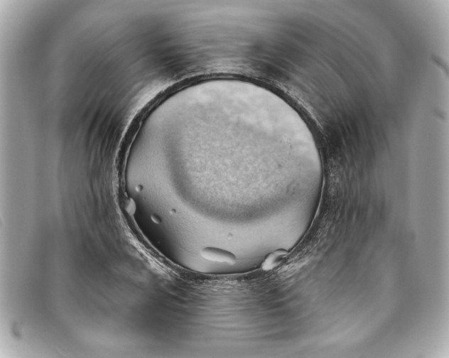 X0000093501024200710261134