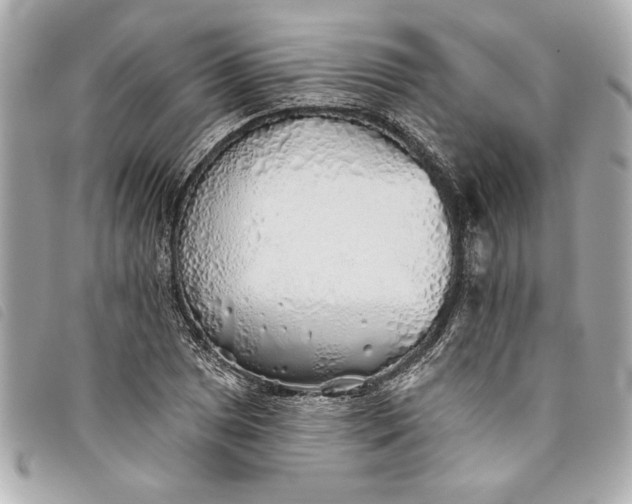 X0000093501025200710261134