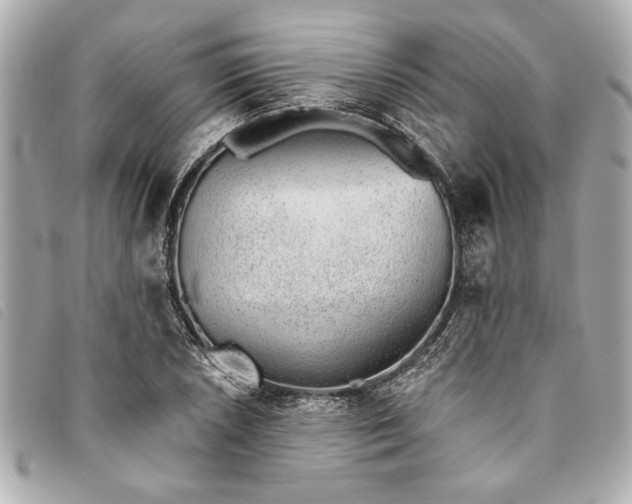 X0000093501026200710261134