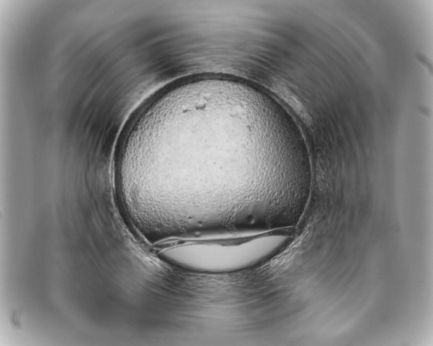 X0000093501028200710261134