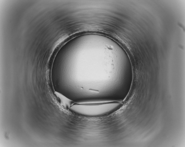X0000093501029200710261134