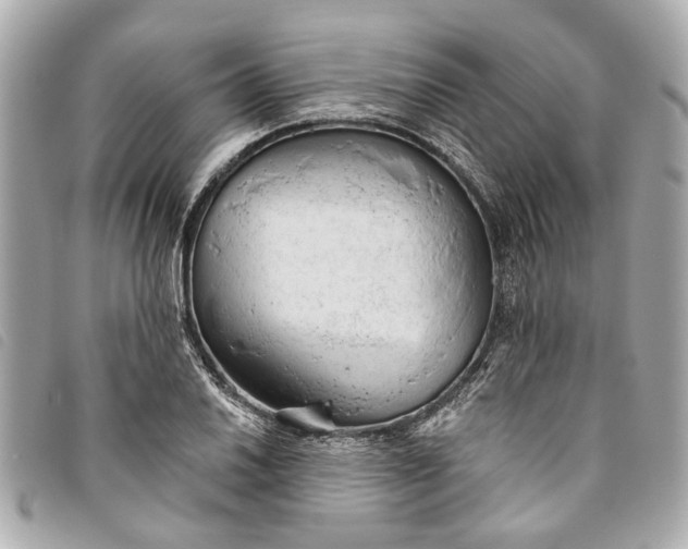 X0000093501030200710261134