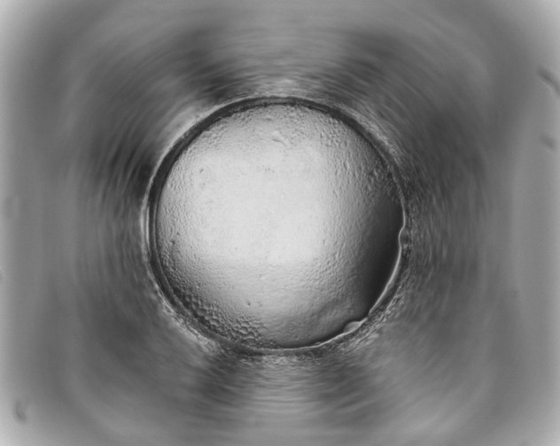 X0000093501032200710261134