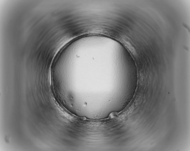 X0000093501036200710261134