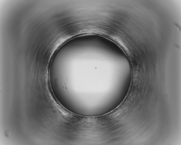 X0000093501040200710261134