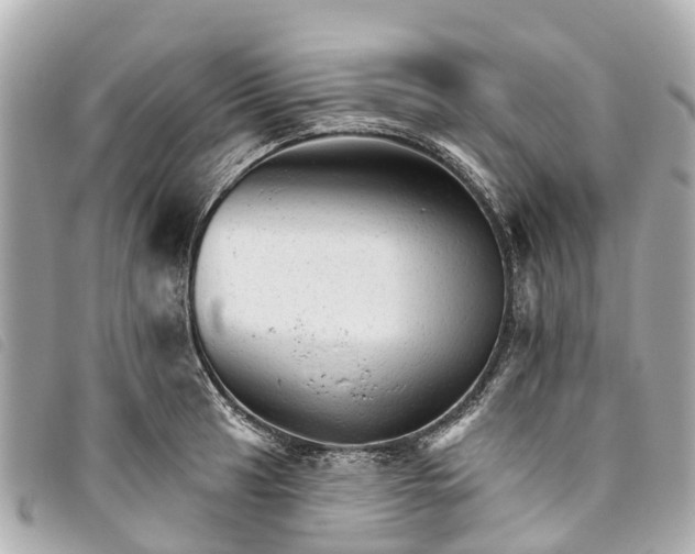 X0000093501041200710261134