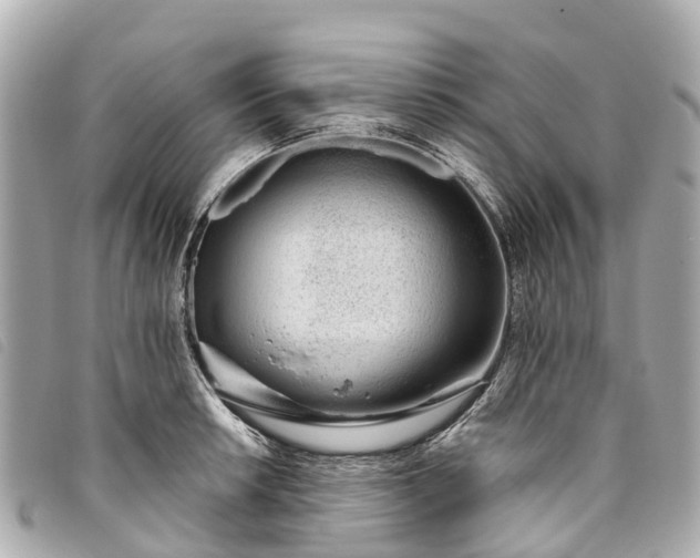 X0000093501042200710261134