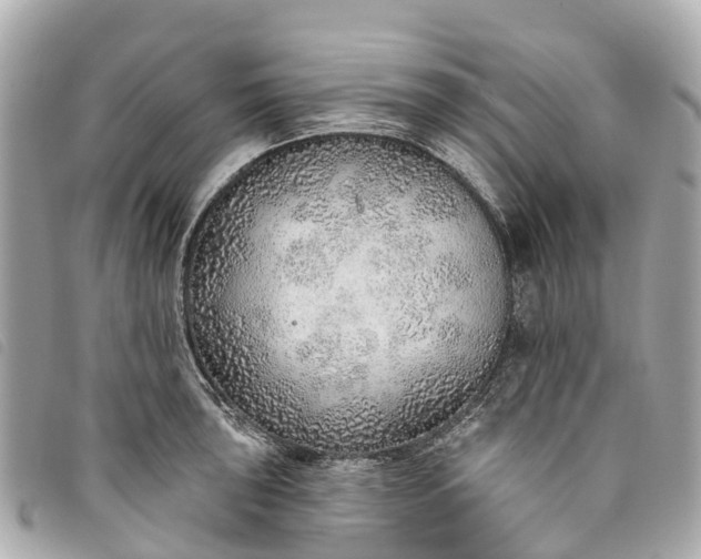 X0000093501043200710261134