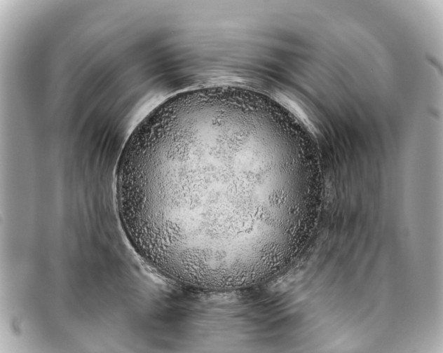X0000093501047200710261134