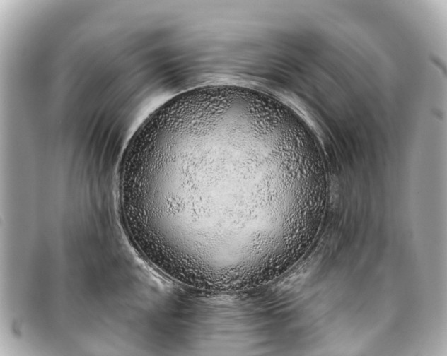 X0000093501048200710261134