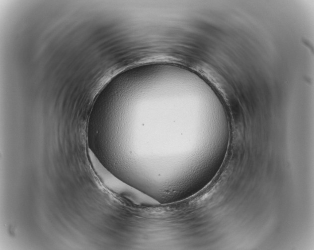 X0000093501049200710261134