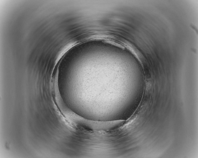 X0000093501050200710261134