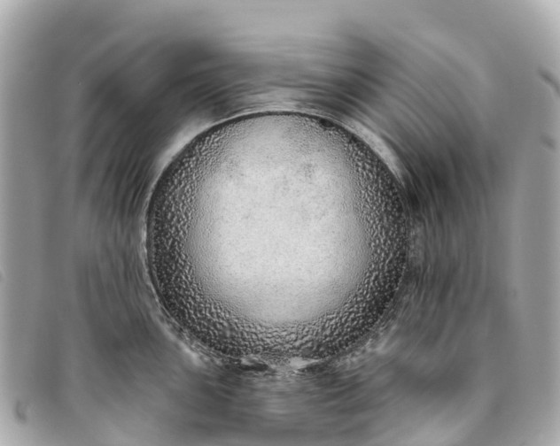X0000093501051200710261134