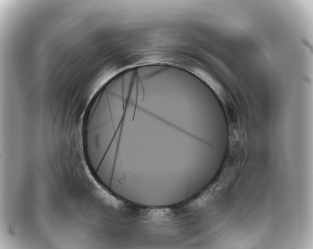 X0000093501055200710261134
