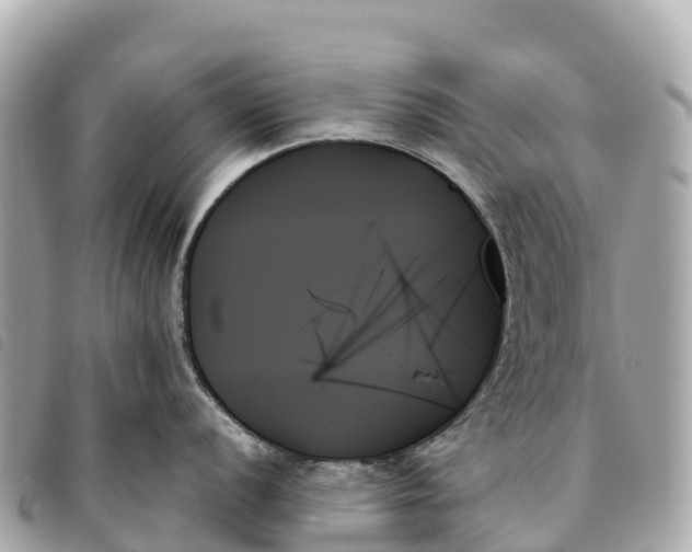 X0000093501056200710261134