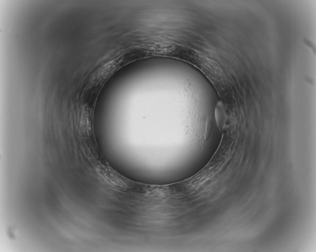 X0000093501058200710261133