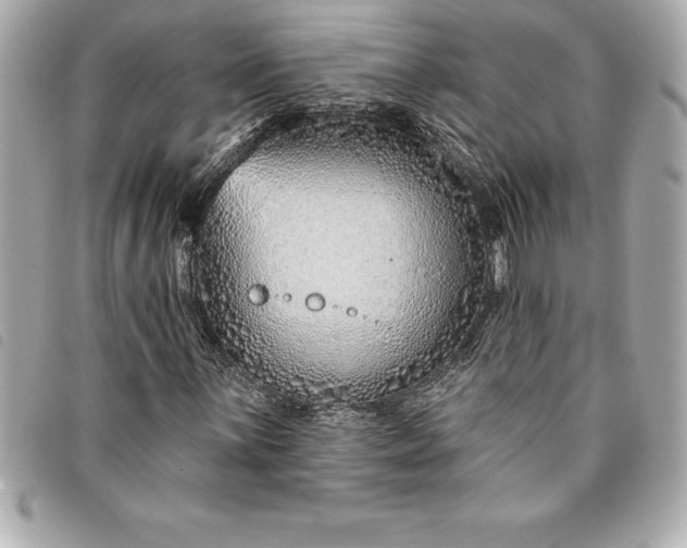 X0000093501059200710261133
