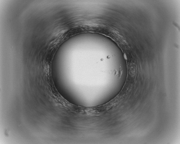 X0000093501061200710261133