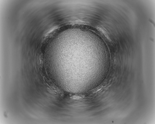X0000093501063200710261133