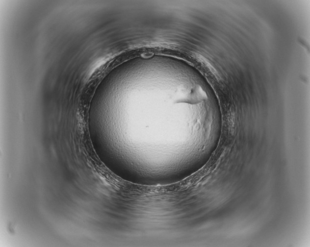 X0000093501064200710261133
