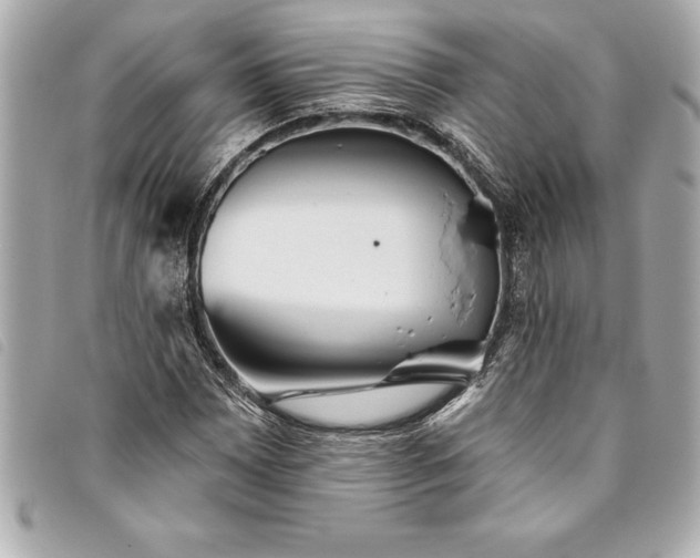 X0000093501065200710261133