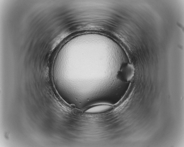 X0000093501066200710261133