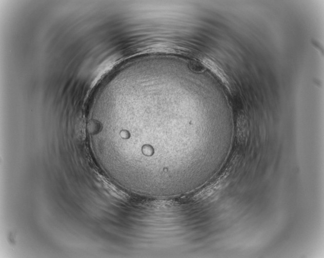 X0000093501067200710261133