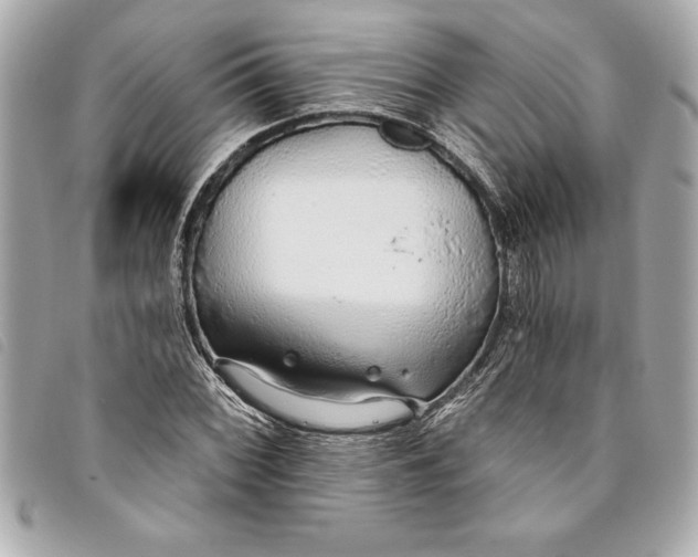 X0000093501068200710261133