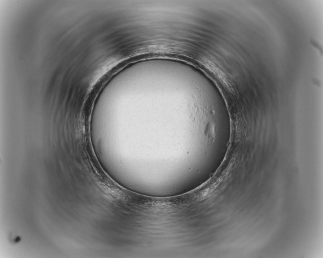 X0000093501070200710261133
