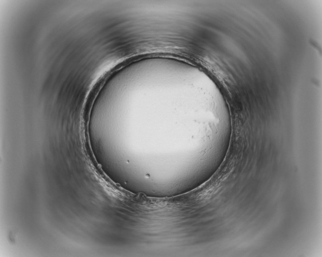 X0000093501072200710261133