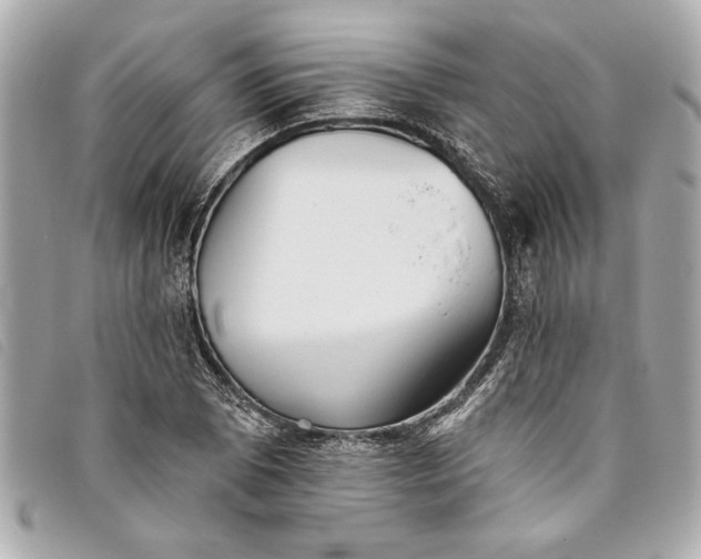 X0000093501073200710261133