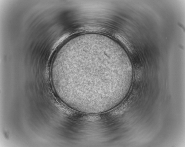 X0000093501074200710261133